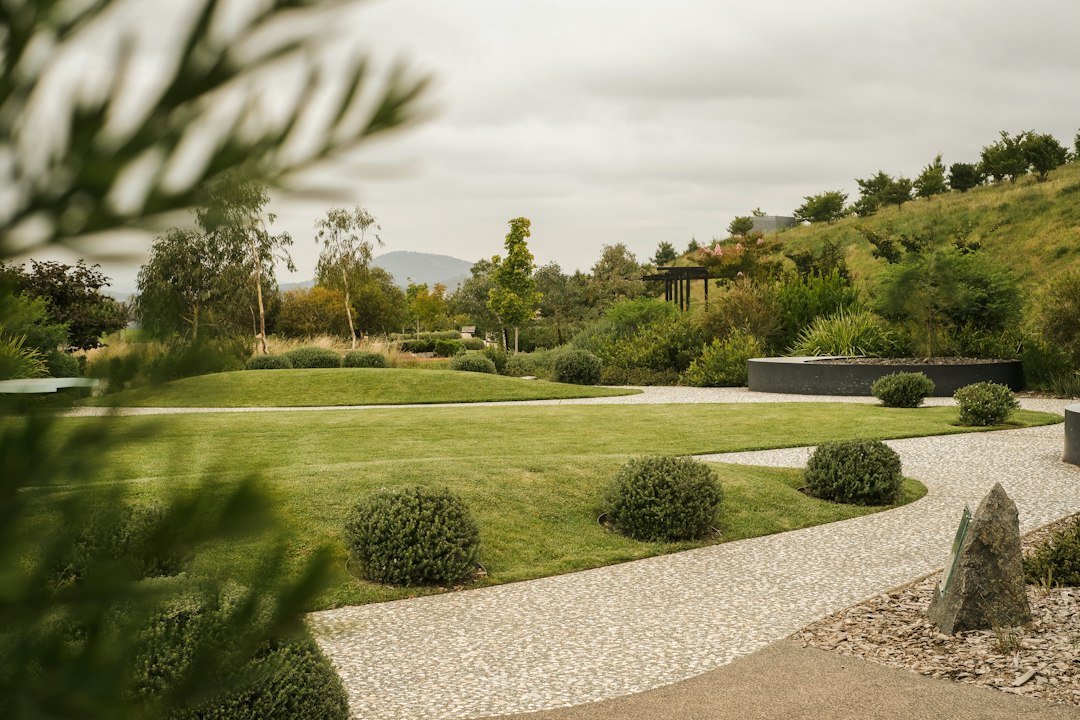 a-large-green-lawn-with-bushes-and-trees-junyb-cetns