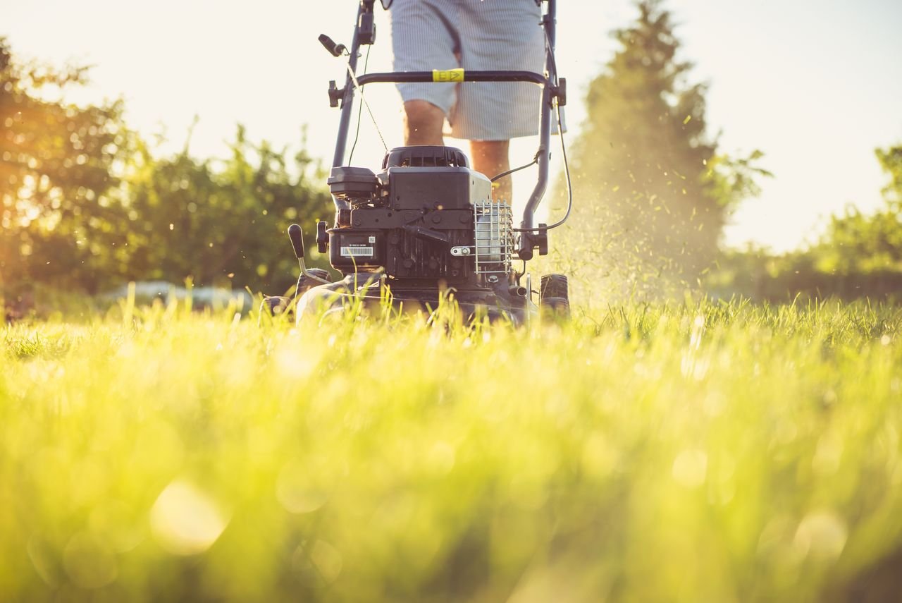 Crafting Captivating Headlines: Your awesome post title goes here Close-up of a person mowing the lawn with a gas lawn mower on a sunny summer day.