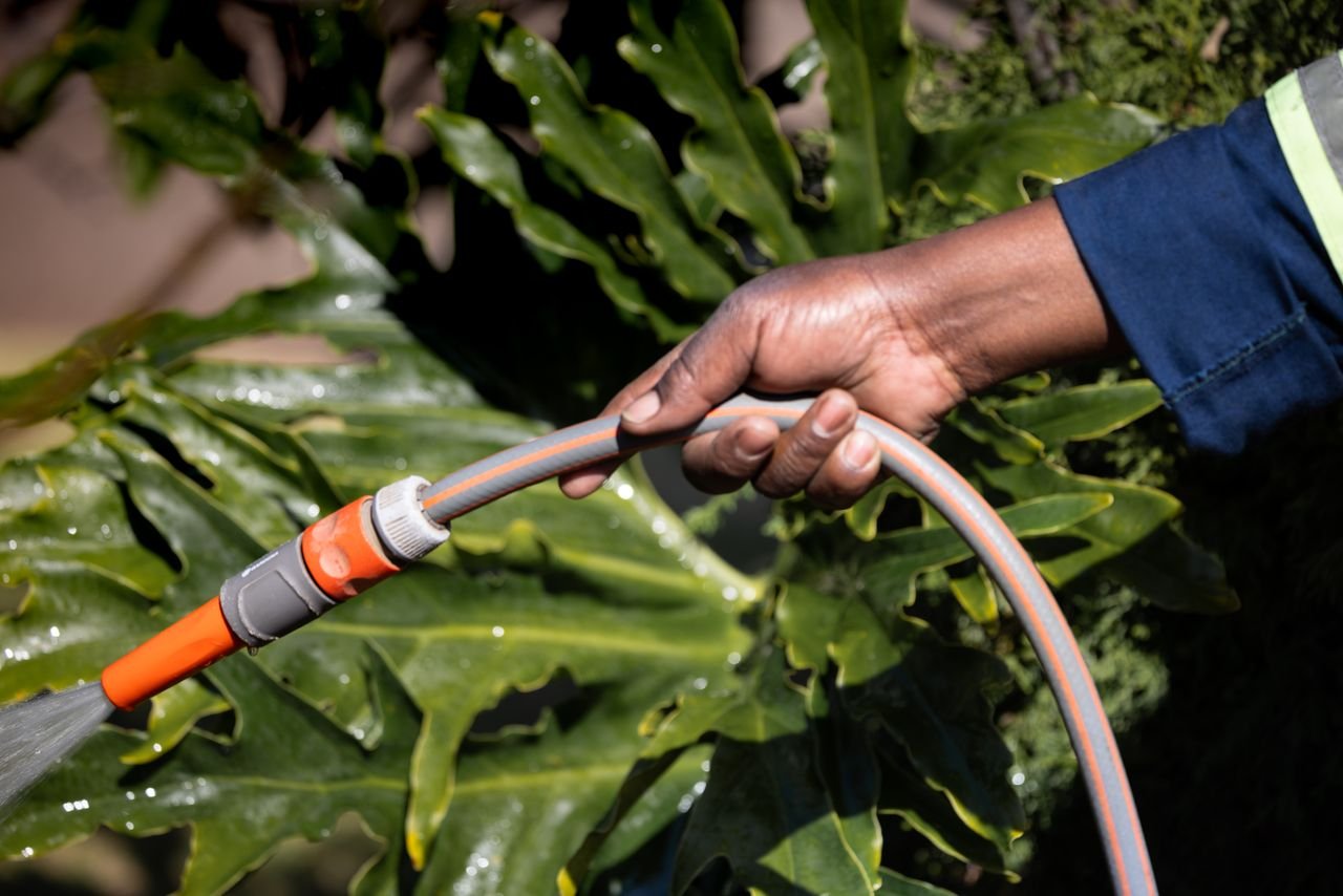 Mastering the First Impression: Your intriguing post title goes here A close-up shot of a hand holding a garden hose watering large green leaves.